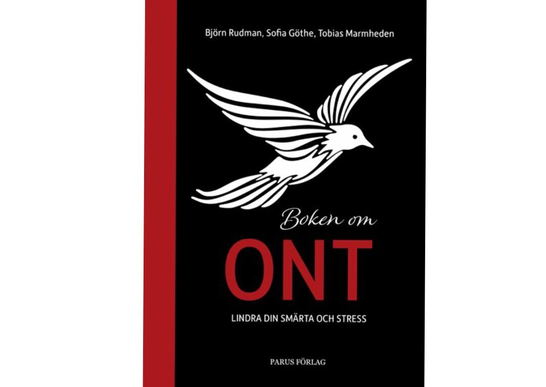 Boken om ont