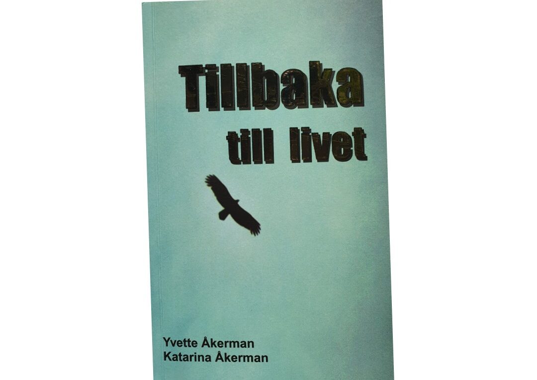Tillbaka till livet