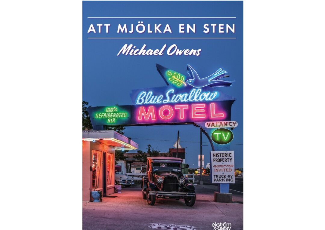 Att mjölka en sten