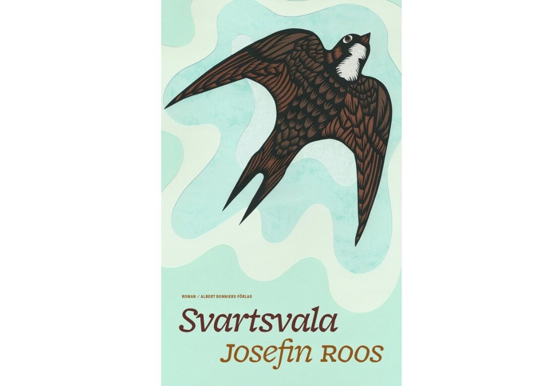 Svartsvala