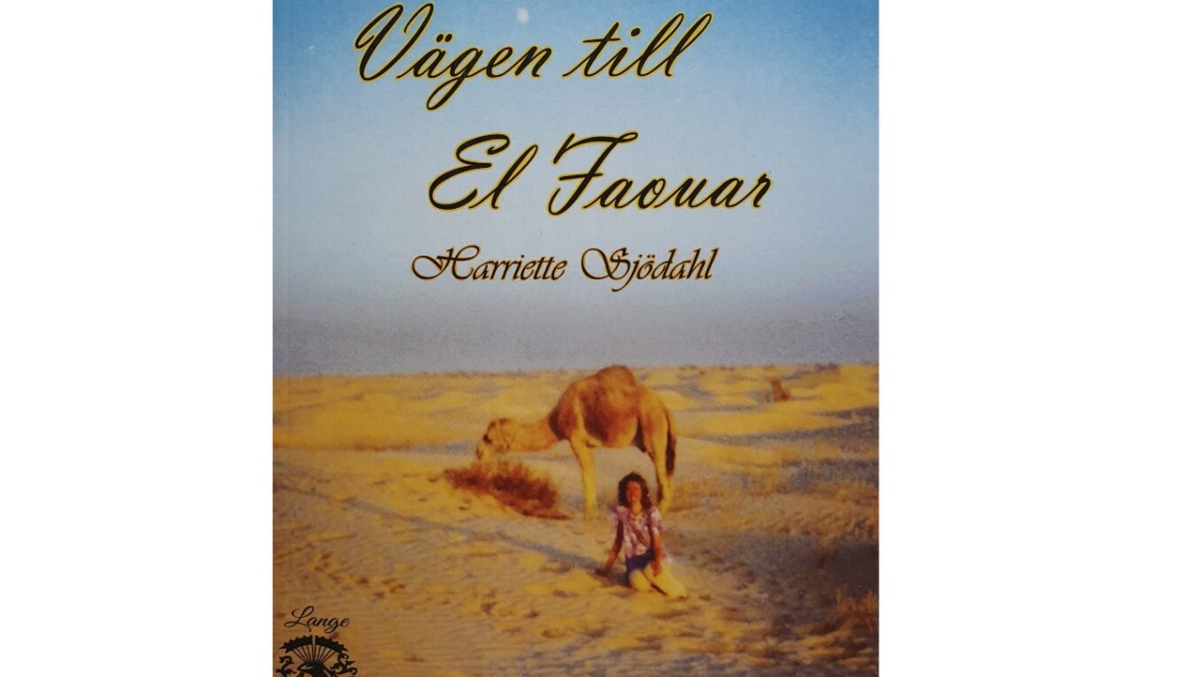 Vägen till El Faouar