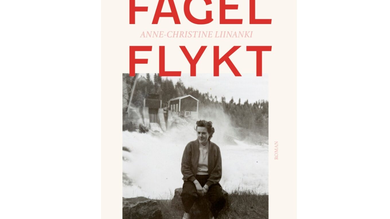 Fågelflykt