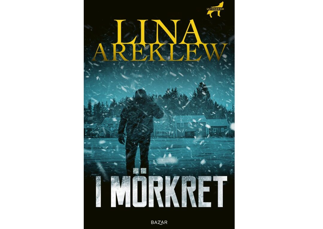 I mörkret