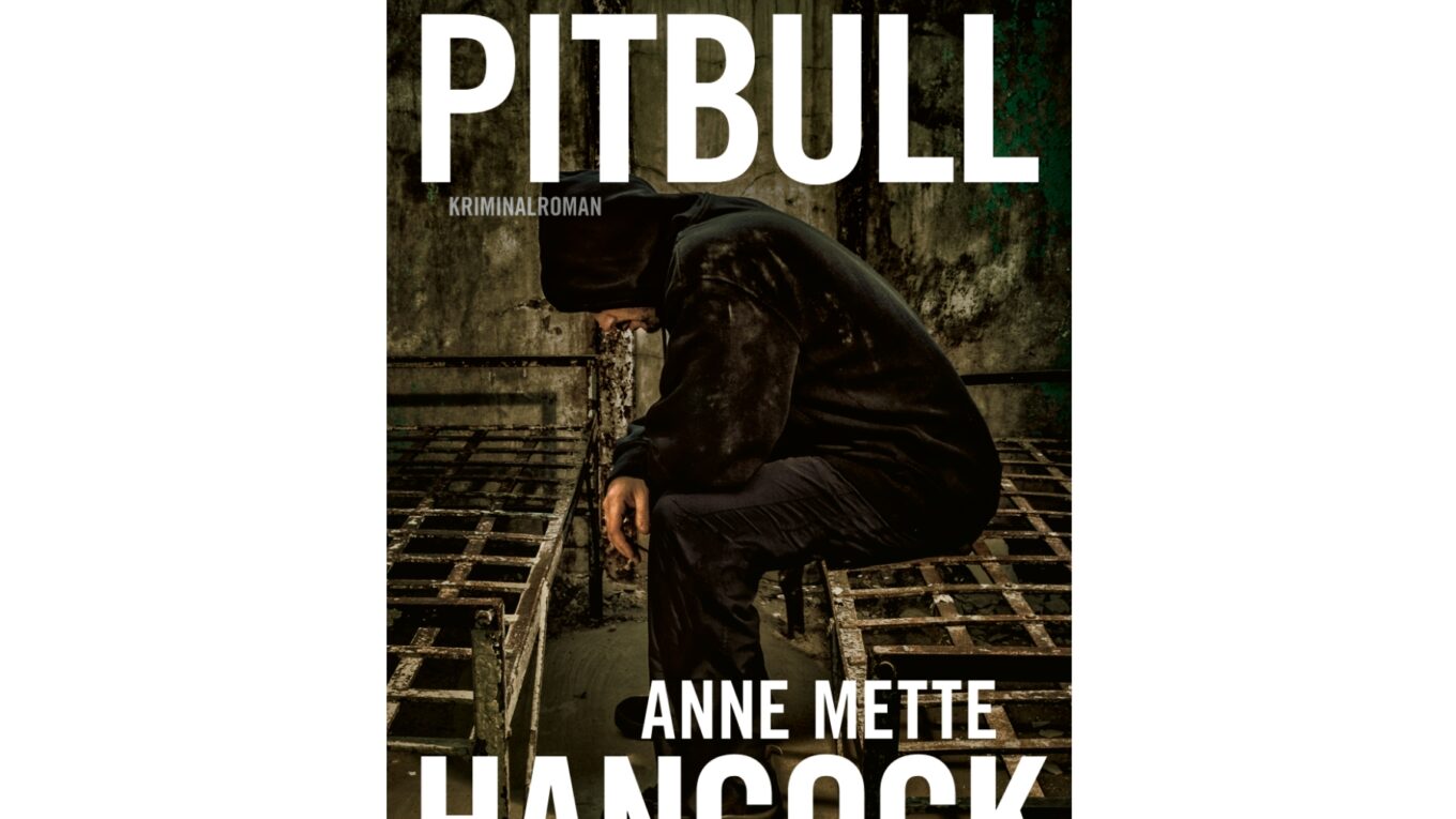 Pitbull