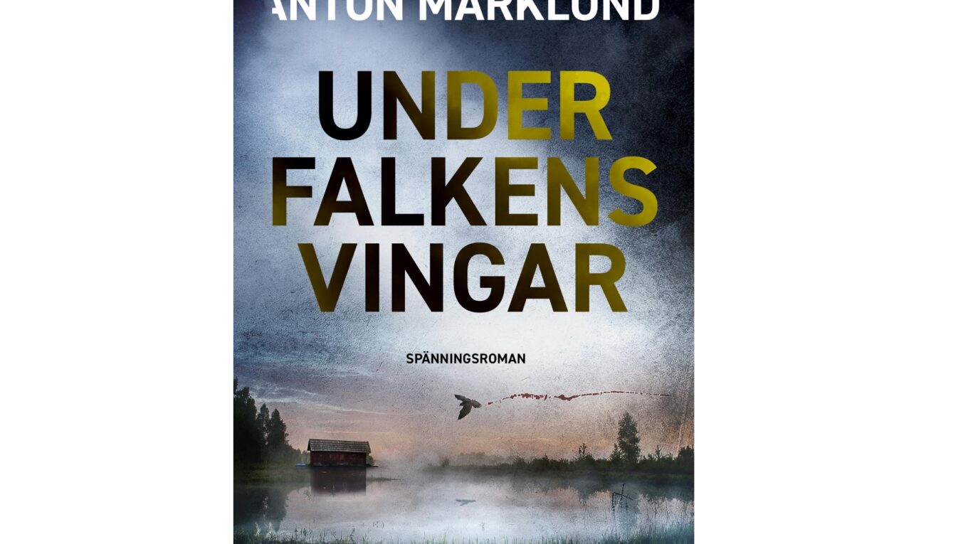 Under falkens vingar