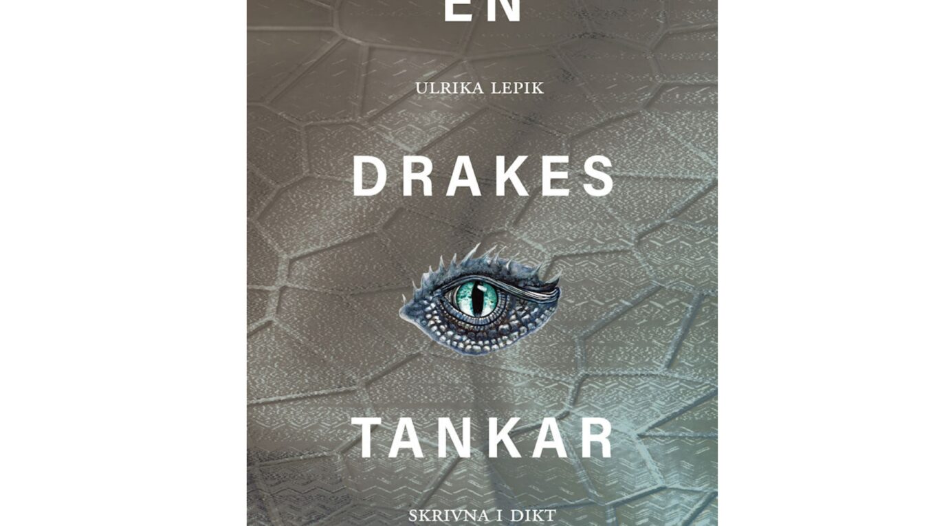 En drakes tankar