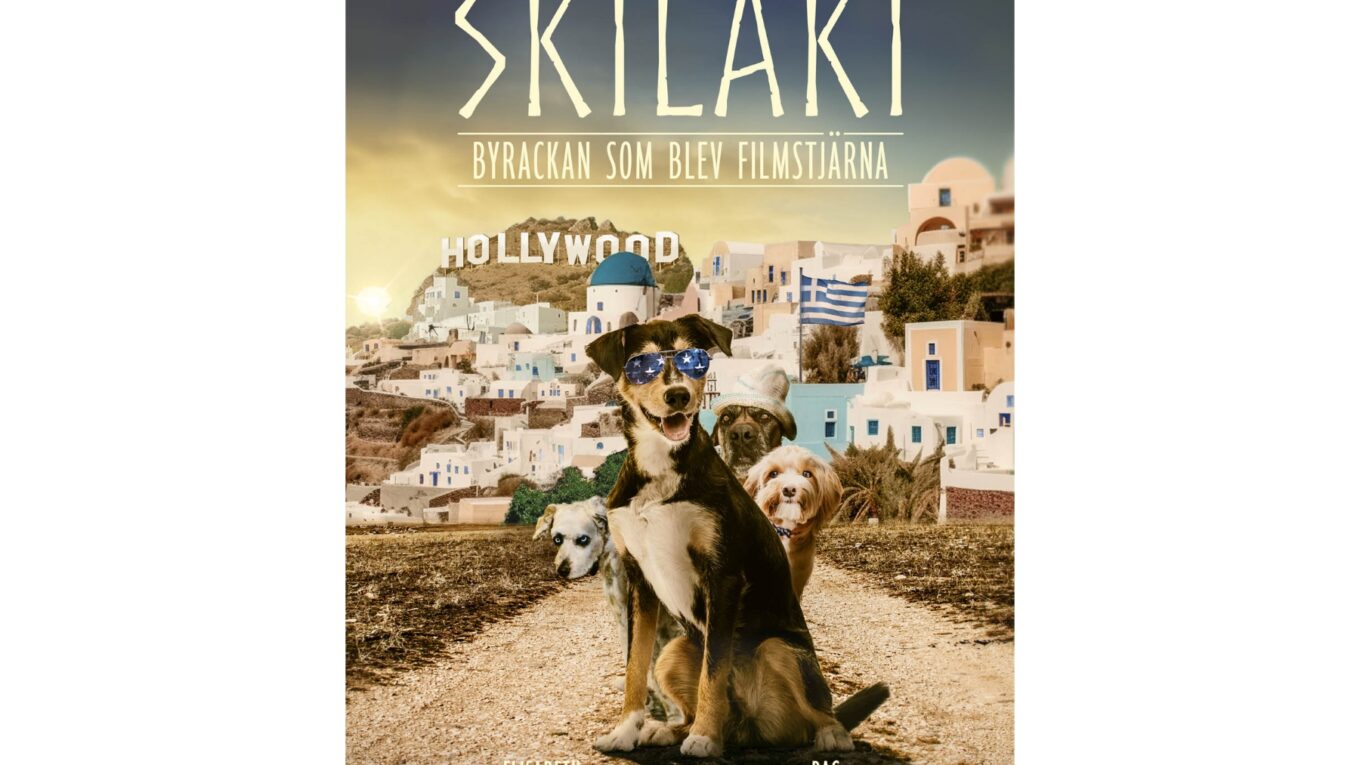 Skilaki
