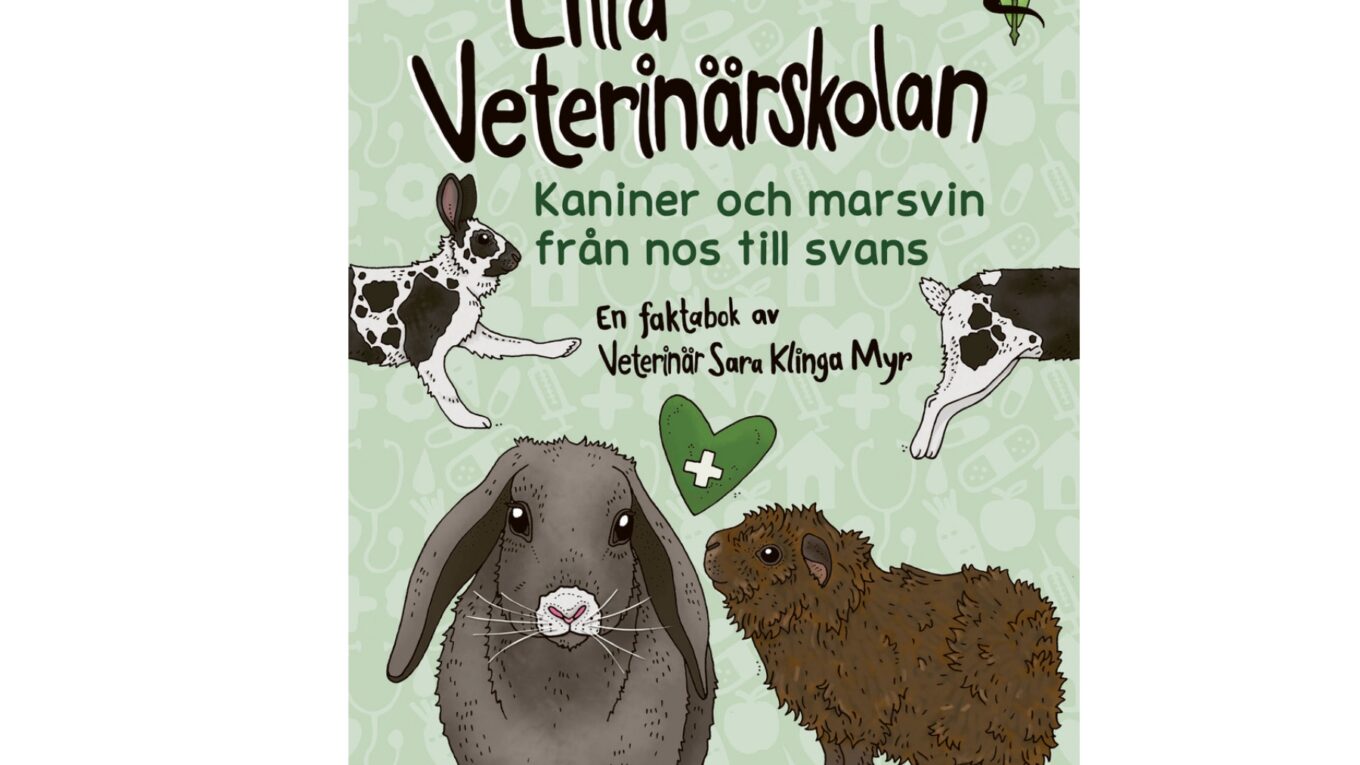 Lilla veterinärskolan
