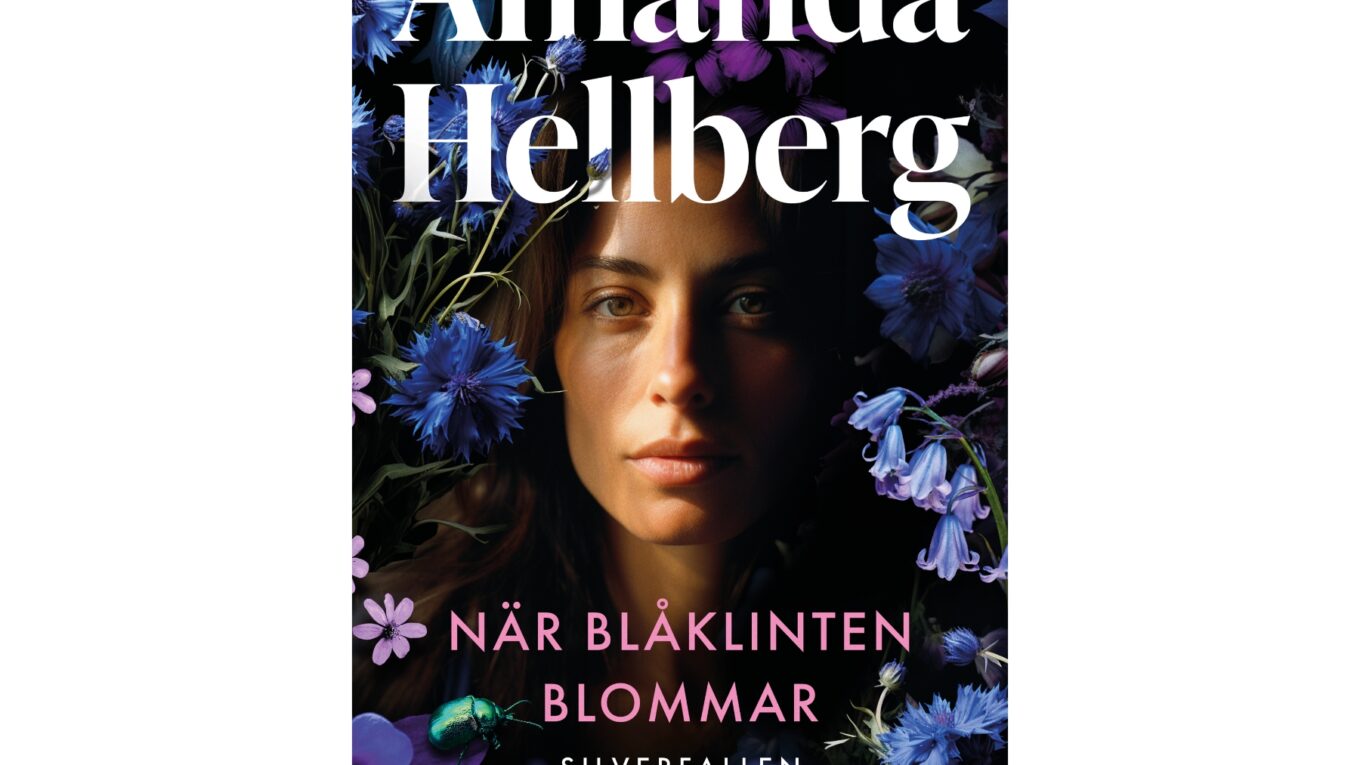 När blåklinten blommar